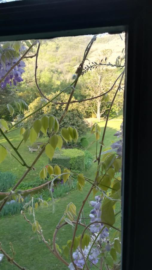 Bed and Breakfast Les Palmiers Mauves Zewnętrze zdjęcie